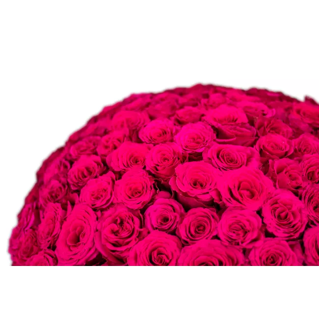 Bouquet of pink roses